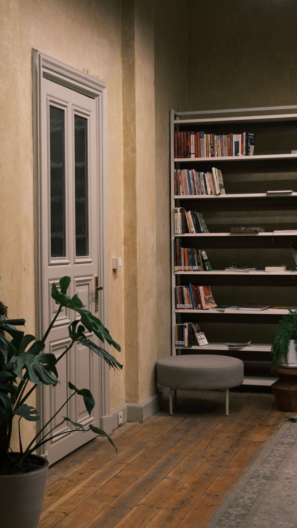 Libreria, immagine illustrativa 5